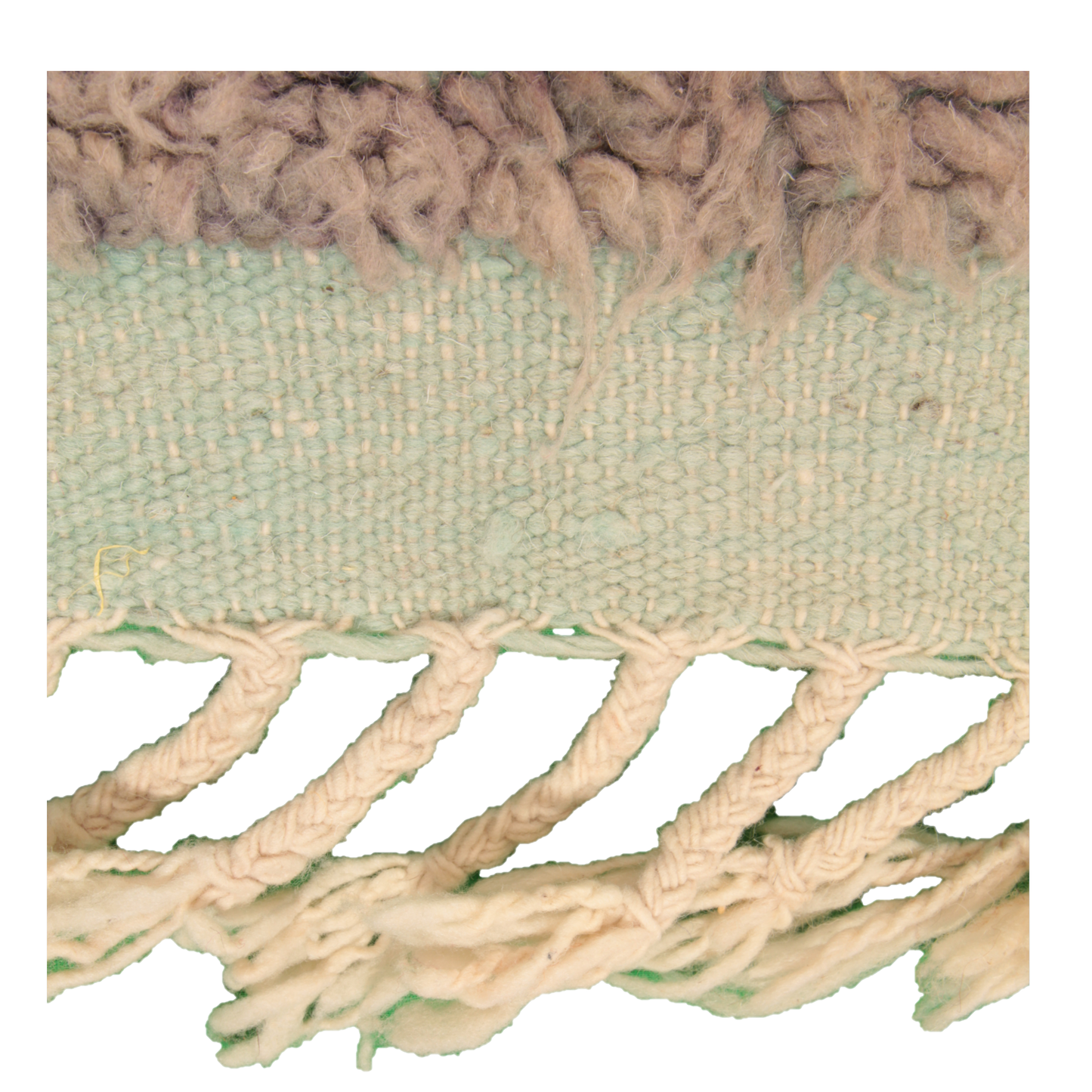 mushimashi mushi mashi