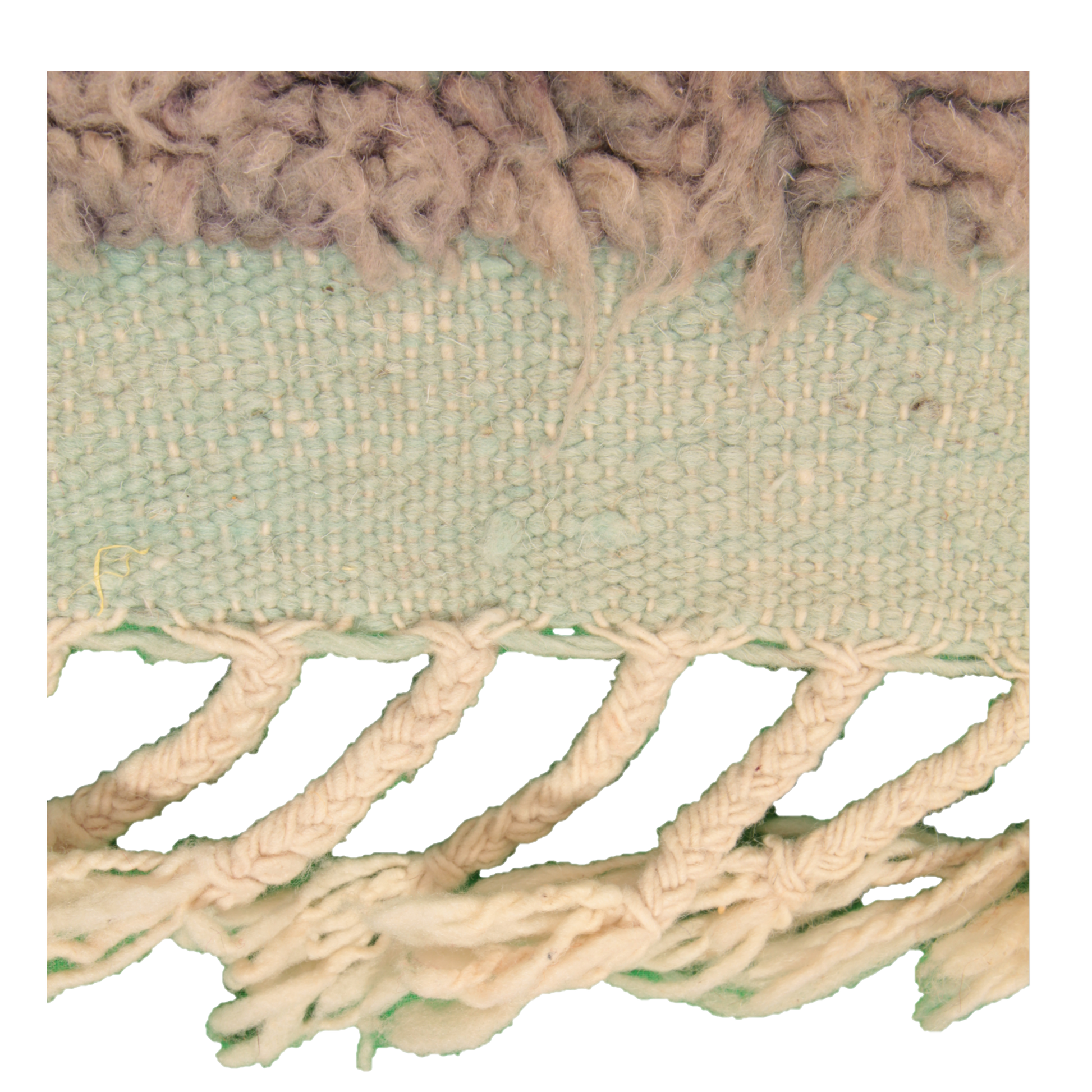 mushimashi mushi mashi